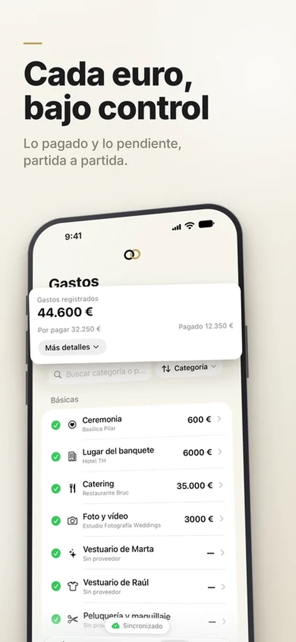 Presupuesto con gastos por categoría